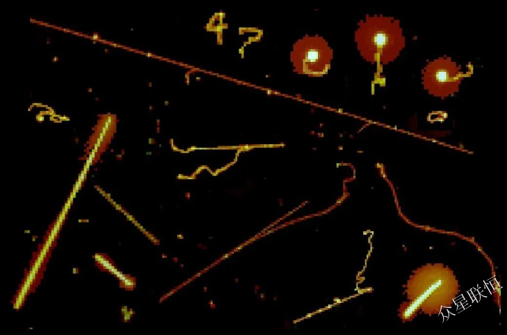 北京眾星聯(lián)恒科技有限公司