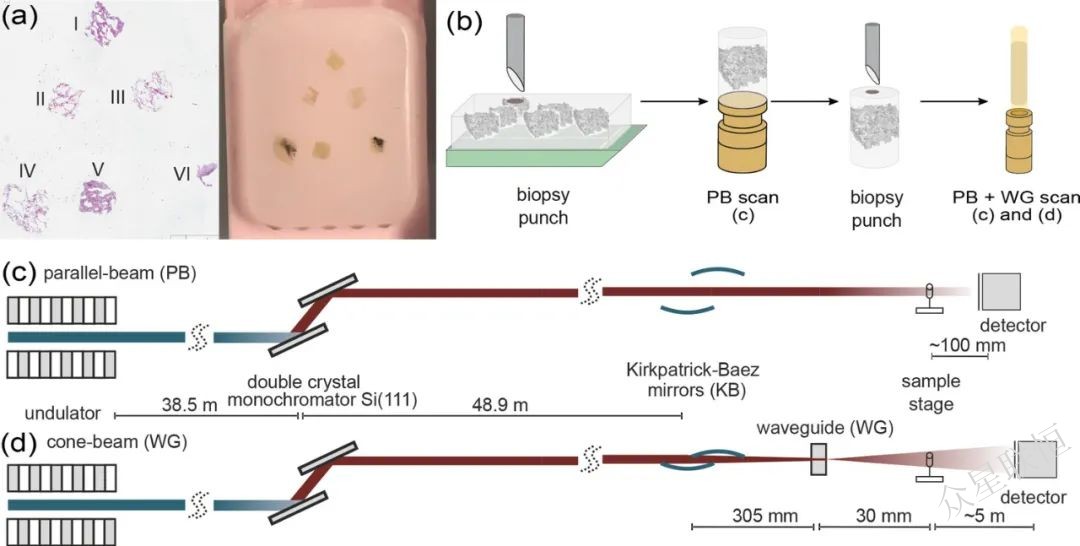 北京眾星聯(lián)恒科技有限公司