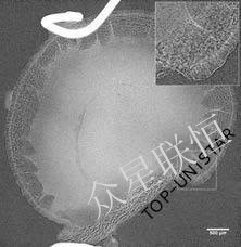 北京眾星聯(lián)恒科技有限公司