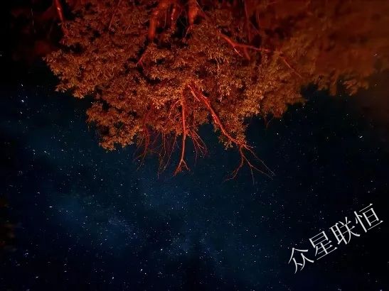 北京眾星聯(lián)恒科技有限公司