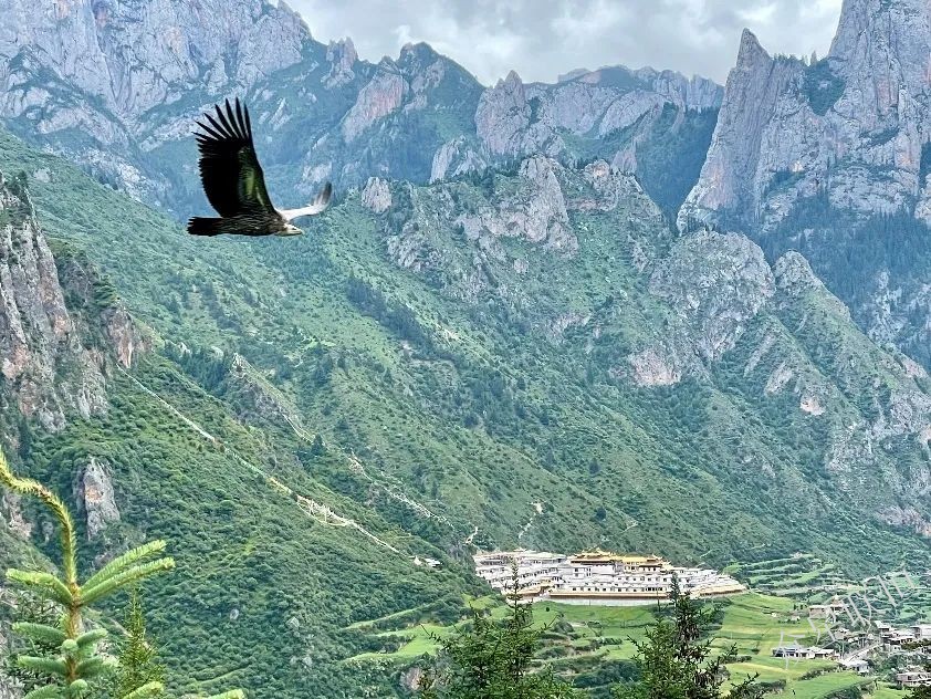 北京眾星聯(lián)恒科技有限公司