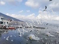 北京眾星聯(lián)恒科技有限公司