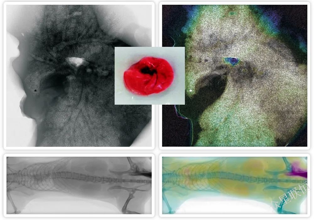 北京眾星聯(lián)恒科技有限公司 北京眾星聯(lián)恒科技有限公司