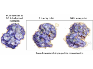 First X-ray laser simulation suite explores single-particle imaging