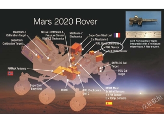 Mars 2020: Seeking Evidence of Life with Micro-XRF Spectroscopy