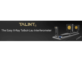 TALINT system